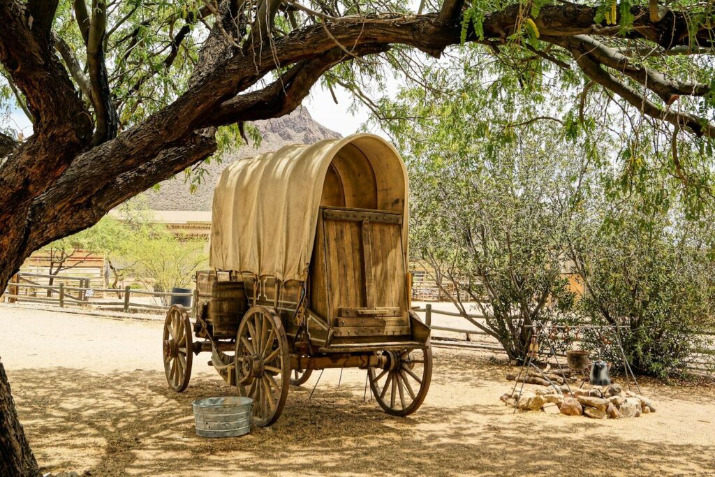 brown wooden carriage on brown sand during daytime